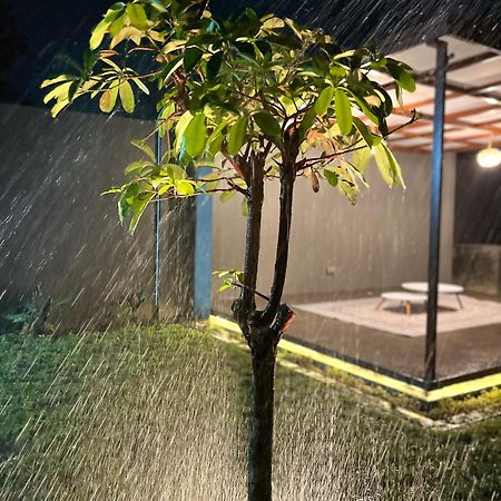 Joglo Homestay Banyuwangi מראה חיצוני תמונה